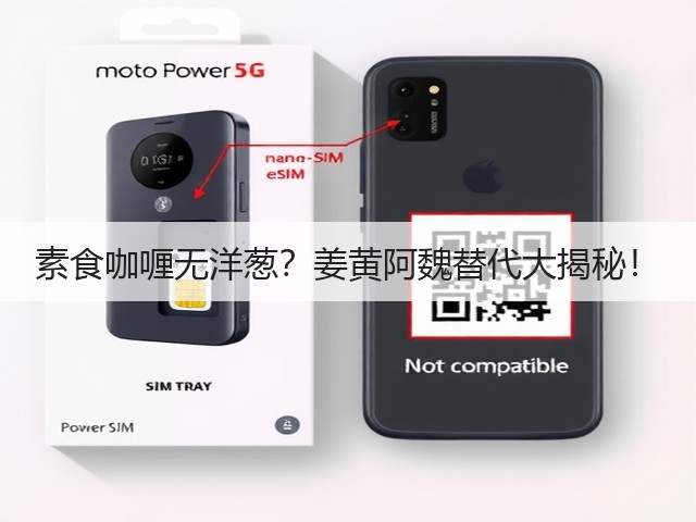 素食咖喱无洋葱?姜黄阿魏替代大揭秘!(图3) 素食咖喱无洋葱?姜黄阿魏替代大揭秘!(图3)
