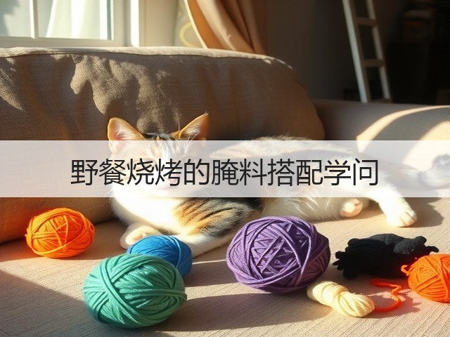 野餐烧烤的腌料搭配学问(图3) 野餐烧烤的腌料搭配学问(图3)