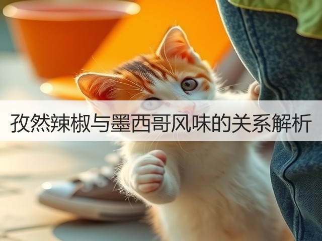 孜然辣椒与墨西哥风味的关系解析(图2) 孜然辣椒与墨西哥风味的关系解析(图2)