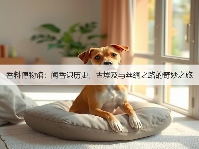 香料博物馆:闻香识历史,古埃及与丝绸之路的奇妙之旅(图2) 香料博物馆:闻香识历史,古埃及与丝绸之路的奇妙之旅(图2)