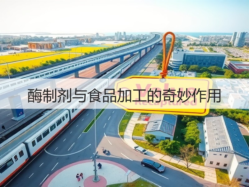 酶制剂与食品加工的奇妙作用