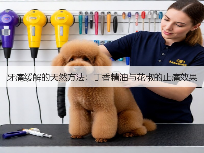 牙痛缓解的天然方法：丁香精油与花椒的止痛效果