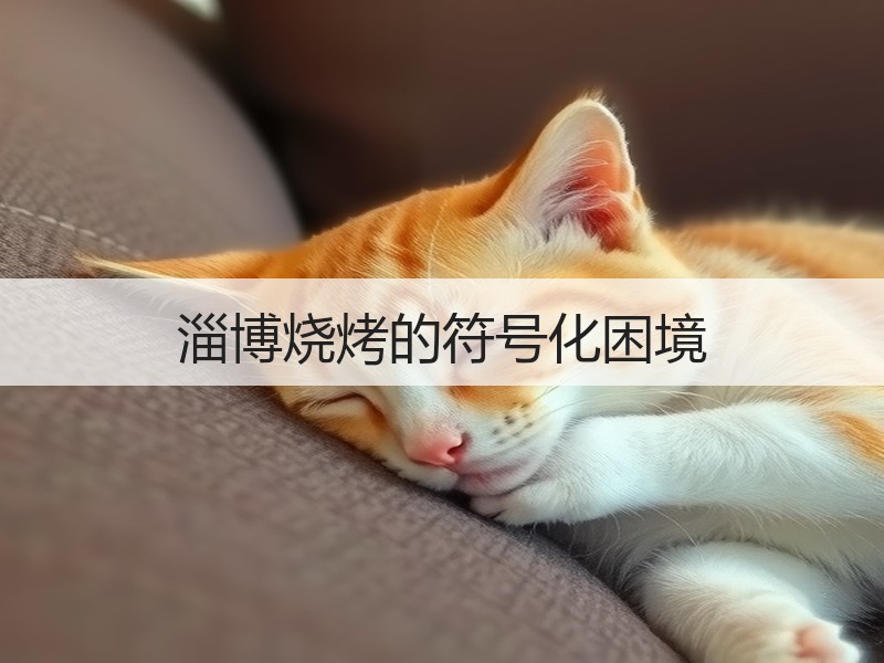 淄博烧烤的符号化困境