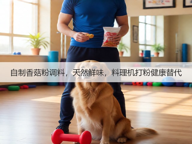自制香菇粉调料,天然鲜味,料理机打粉健康替代(图1) 自制香菇粉调料,天然鲜味,料理机打粉健康替代(图1)