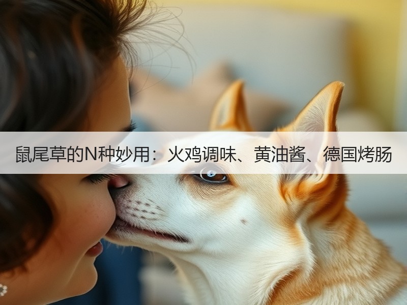 鼠尾草的N种妙用：火鸡调味、黄油酱、德国烤肠