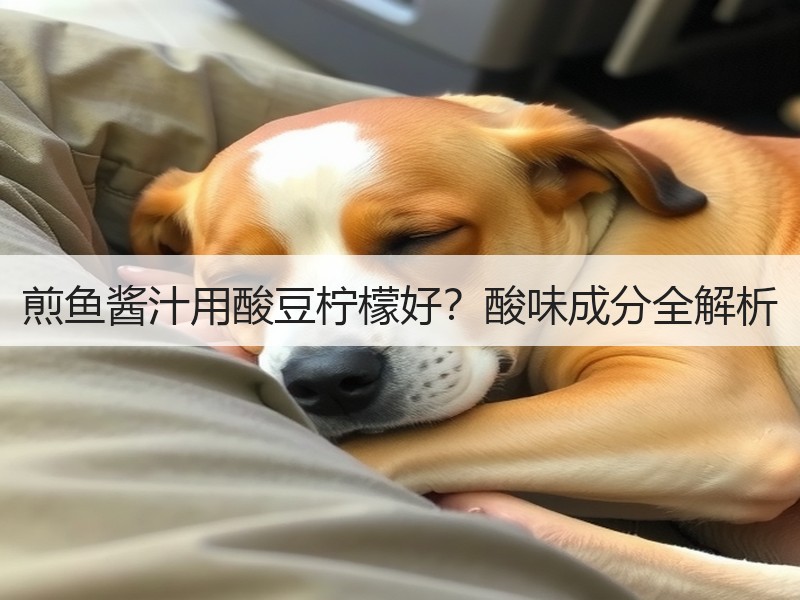 煎鱼酱汁用酸豆柠檬好？酸味成分全解析