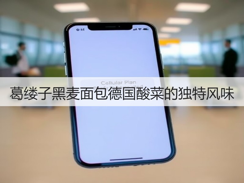 葛缕子黑麦面包德国酸菜的独特风味