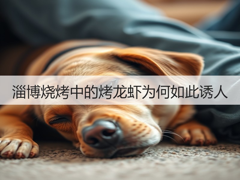 淄博烧烤中的烤龙虾为何如此诱人