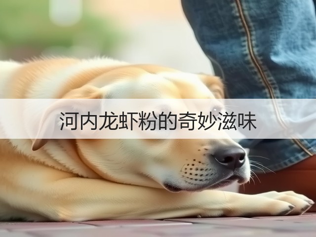 河内龙虾粉的奇妙滋味(图3) 河内龙虾粉的奇妙滋味(图3)