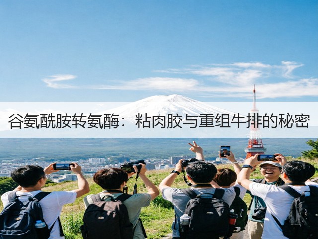 谷氨酰胺转氨酶:粘肉胶与重组牛排的秘密(图3) 谷氨酰胺转氨酶:粘肉胶与重组牛排的秘密(图3)
