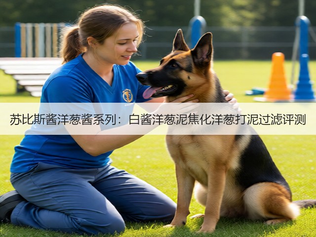 苏比斯酱洋葱酱系列:白酱洋葱泥焦化洋葱打泥过滤评测(图1) 苏比斯酱洋葱酱系列:白酱洋葱泥焦化洋葱打泥过滤评测(图1)