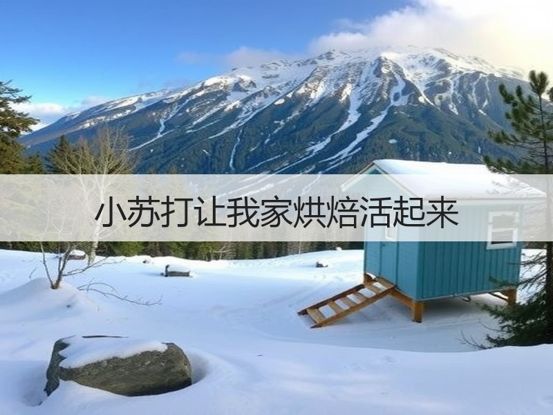 小苏打让我家烘焙活起来