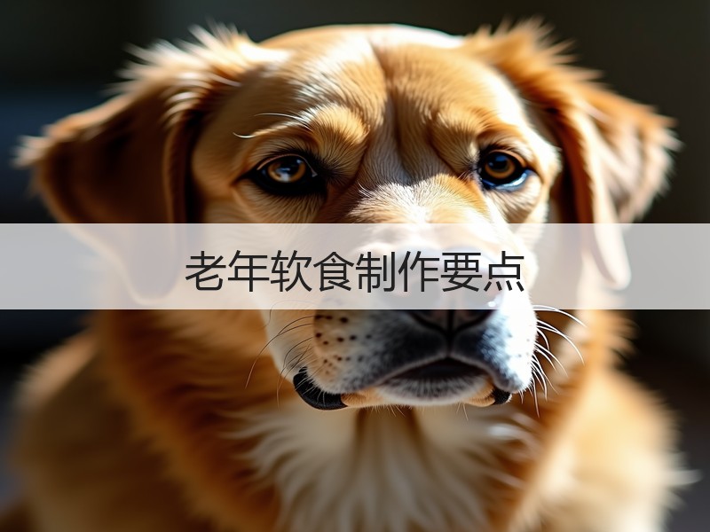 老年软食制作要点