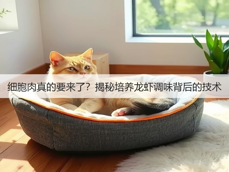 细胞肉真的要来了？揭秘培养龙虾调味背后的技术