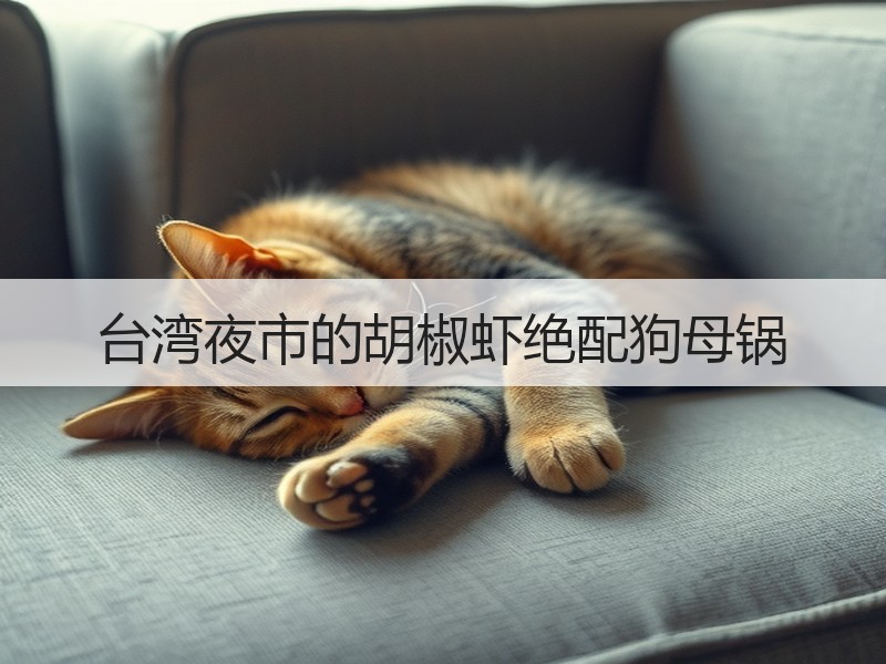 台湾夜市的胡椒虾绝配狗母锅