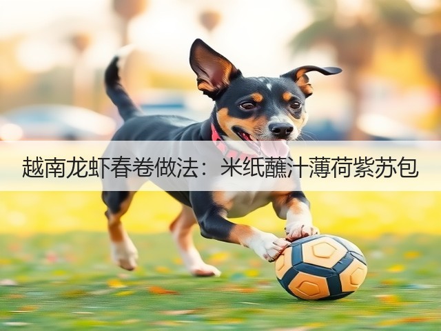越南龙虾春卷做法:米纸蘸汁薄荷紫苏包(图2) 越南龙虾春卷做法:米纸蘸汁薄荷紫苏包(图2)