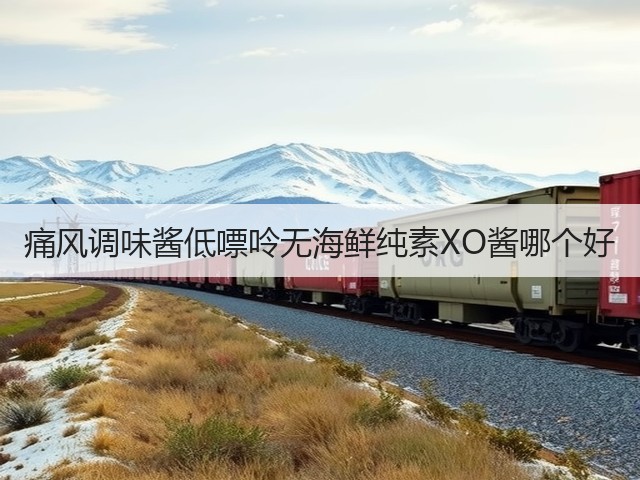痛风调味酱低嘌呤无海鲜纯素XO酱哪个好(图2) 痛风调味酱低嘌呤无海鲜纯素XO酱哪个好(图2)