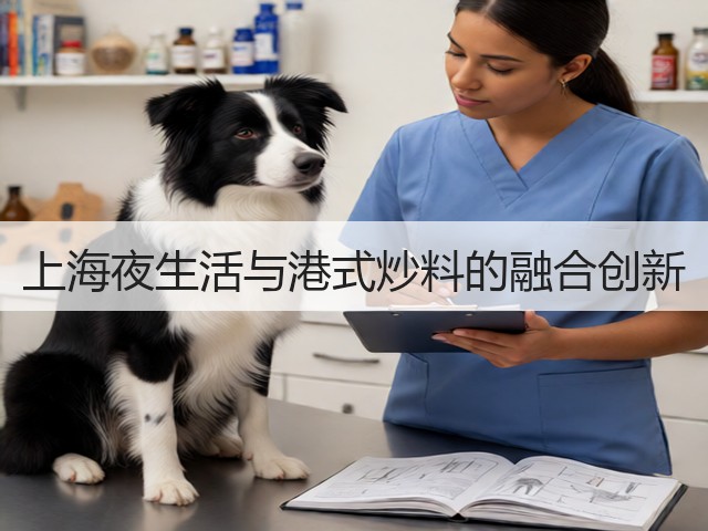 上海夜生活与港式炒料的融合创新(图1) 上海夜生活与港式炒料的融合创新(图1)