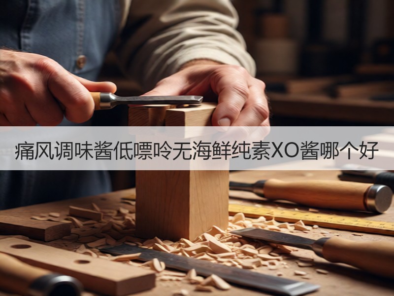 痛风调味酱低嘌呤无海鲜纯素XO酱哪个好
