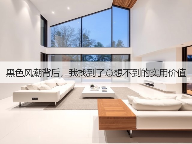 黑色风潮背后,我找到了意想不到的实用价值(图1) 黑色风潮背后,我找到了意想不到的实用价值(图1)