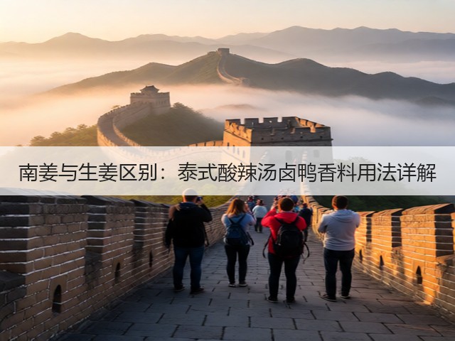 南姜与生姜区别:泰式酸辣汤卤鸭香料用法详解(图1) 南姜与生姜区别:泰式酸辣汤卤鸭香料用法详解(图1)