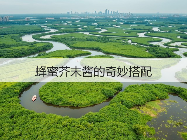 蜂蜜芥末酱的奇妙搭配(图2) 蜂蜜芥末酱的奇妙搭配(图2)