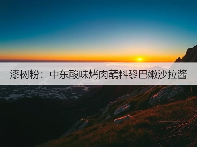 漆树粉:中东酸味烤肉蘸料黎巴嫩沙拉酱(图3) 漆树粉:中东酸味烤肉蘸料黎巴嫩沙拉酱(图3)