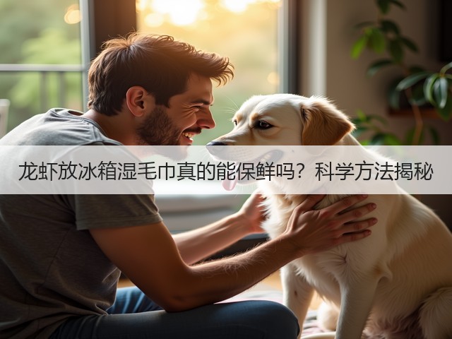 龙虾放冰箱湿毛巾真的能保鲜吗?科学方法揭秘(图3) 龙虾放冰箱湿毛巾真的能保鲜吗?科学方法揭秘(图3)
