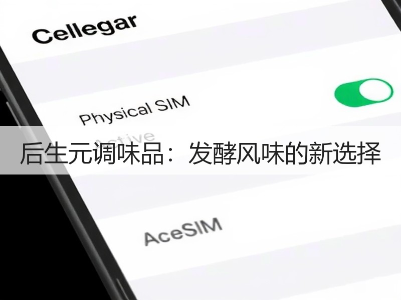 后生元调味品：发酵风味的新选择