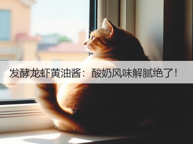 发酵龙虾黄油酱:酸奶风味解腻绝了!(图2) 发酵龙虾黄油酱:酸奶风味解腻绝了!(图2)