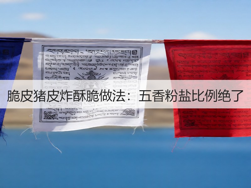 脆皮猪皮炸酥脆做法：五香粉盐比例绝了