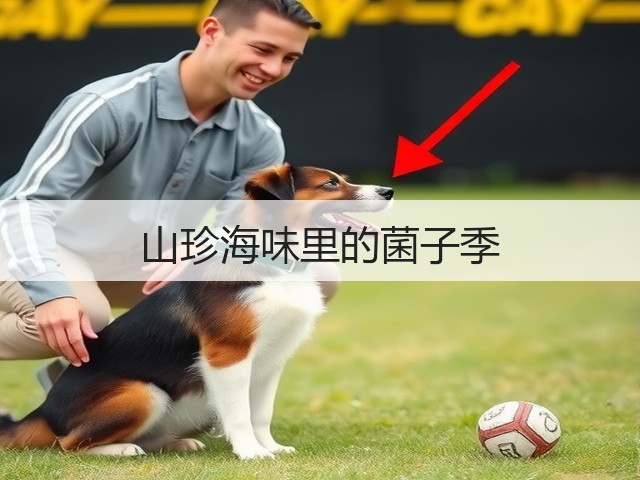 山珍海味里的菌子季(图1) 山珍海味里的菌子季(图1)