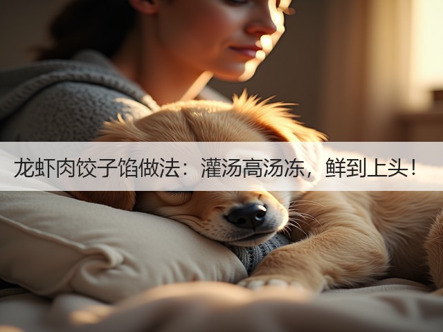 龙虾肉饺子馅做法:灌汤高汤冻,鲜到上头!(图1) 龙虾肉饺子馅做法:灌汤高汤冻,鲜到上头!(图1)