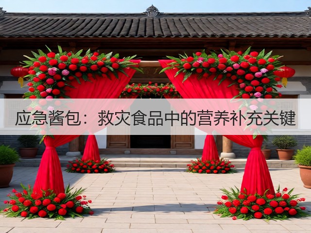 应急酱包：救灾食品中的营养补充关键(图1)