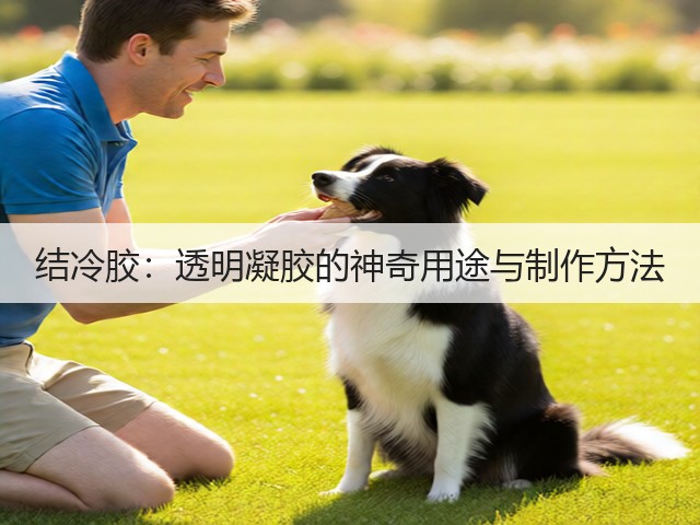 结冷胶:透明凝胶的神奇用途与制作方法(图2) 结冷胶:透明凝胶的神奇用途与制作方法(图2)