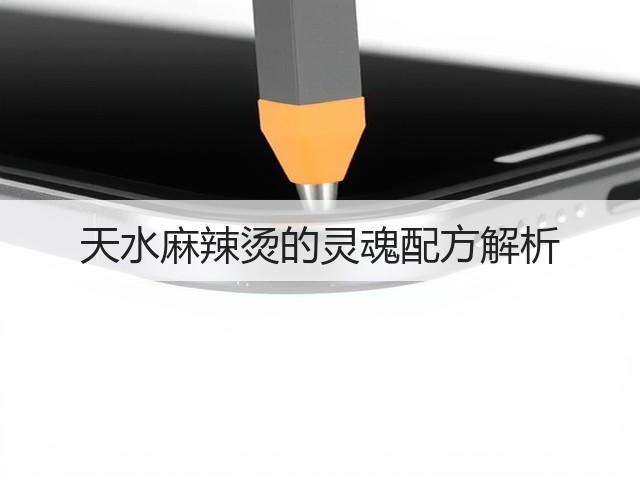 天水麻辣烫的灵魂配方解析(图2) 天水麻辣烫的灵魂配方解析(图2)