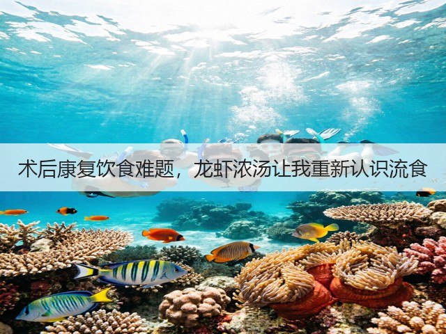 术后康复饮食难题,龙虾浓汤让我重新认识流食(图1) 术后康复饮食难题,龙虾浓汤让我重新认识流食(图1)