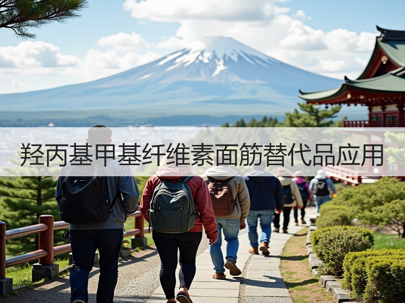 羟丙基甲基纤维素面筋替代品应用