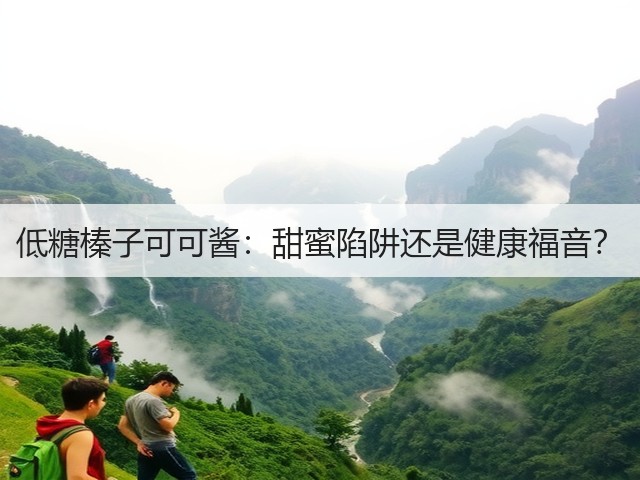 低糖榛子可可酱:甜蜜陷阱还是健康福音?(图2) 低糖榛子可可酱:甜蜜陷阱还是健康福音?(图2)