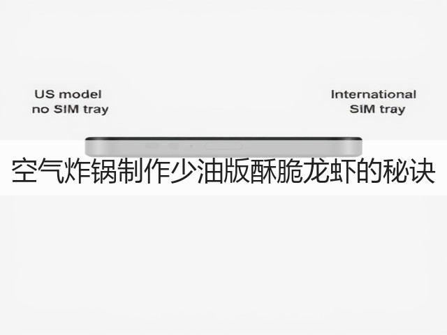 空气炸锅制作少油版酥脆龙虾的秘诀(图2) 空气炸锅制作少油版酥脆龙虾的秘诀(图2)
