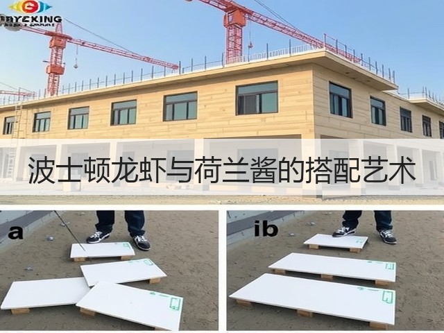 波士顿龙虾与荷兰酱的搭配艺术(图2) 波士顿龙虾与荷兰酱的搭配艺术(图2)
