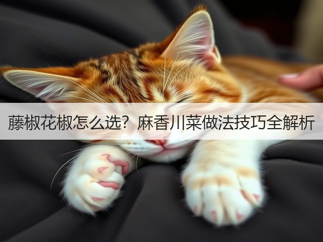 藤椒花椒怎么选?麻香川菜做法技巧全解析(图3) 藤椒花椒怎么选?麻香川菜做法技巧全解析(图3)
