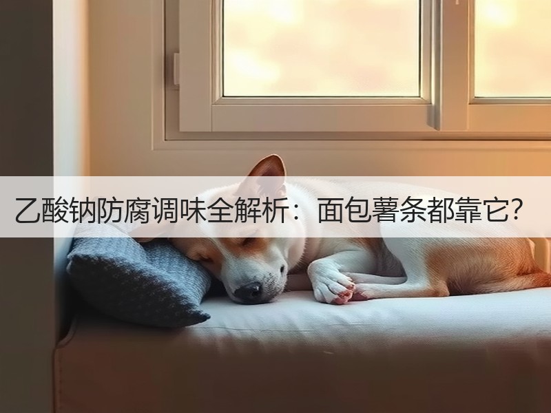 乙酸钠防腐调味全解析：面包薯条都靠它？
