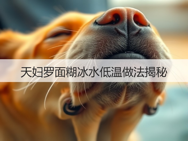 天妇罗面糊冰水低温做法揭秘