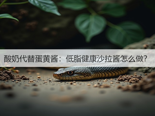 酸奶代替蛋黄酱:低脂健康沙拉酱怎么做?(图2) 酸奶代替蛋黄酱:低脂健康沙拉酱怎么做?(图2)