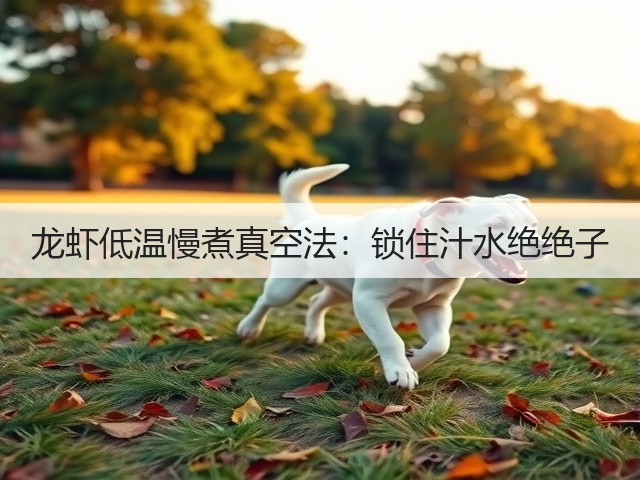龙虾低温慢煮真空法:锁住汁水绝绝子(图1) 龙虾低温慢煮真空法:锁住汁水绝绝子(图1)