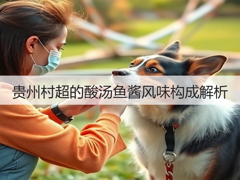 贵州村超的酸汤鱼酱风味构成解析