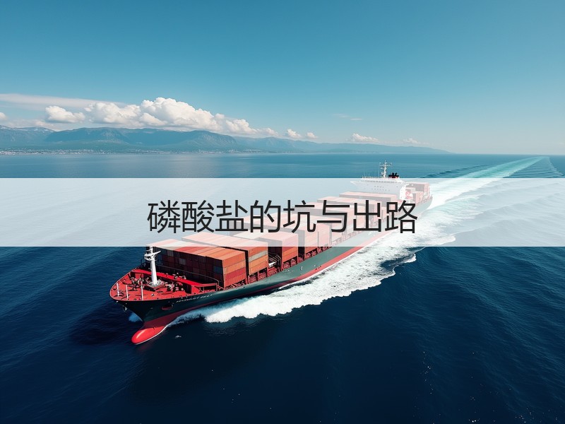 磷酸盐的坑与出路