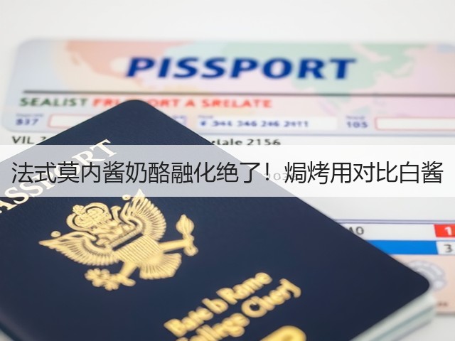 法式莫内酱奶酪融化绝了!焗烤用对比白酱(图1) 法式莫内酱奶酪融化绝了!焗烤用对比白酱(图1)