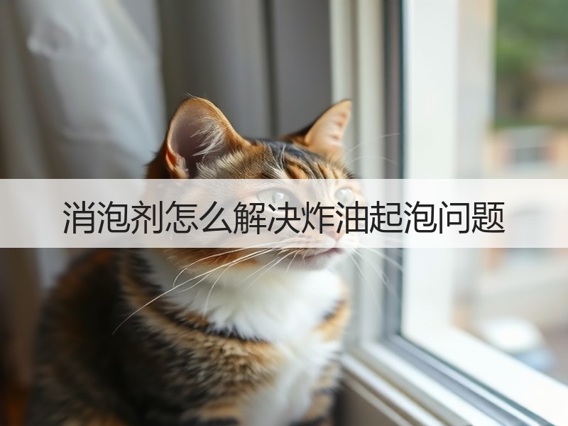 消泡剂怎么解决炸油起泡问题